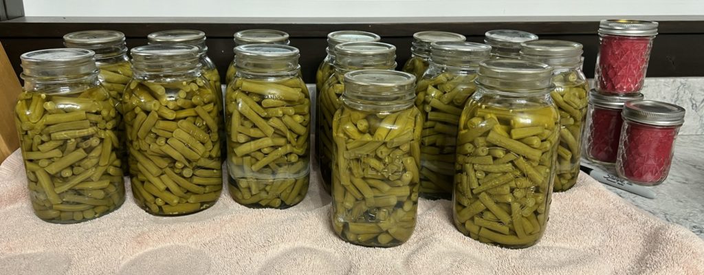 Canned green beans by Melissa Cook