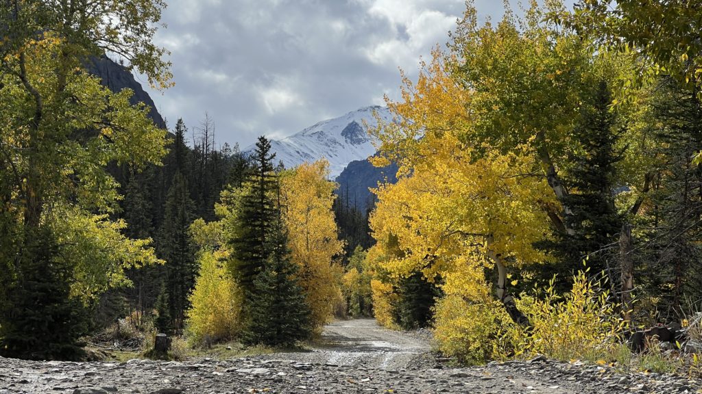 Fall Colors on the Road to Kirwin, Wyoming 2022