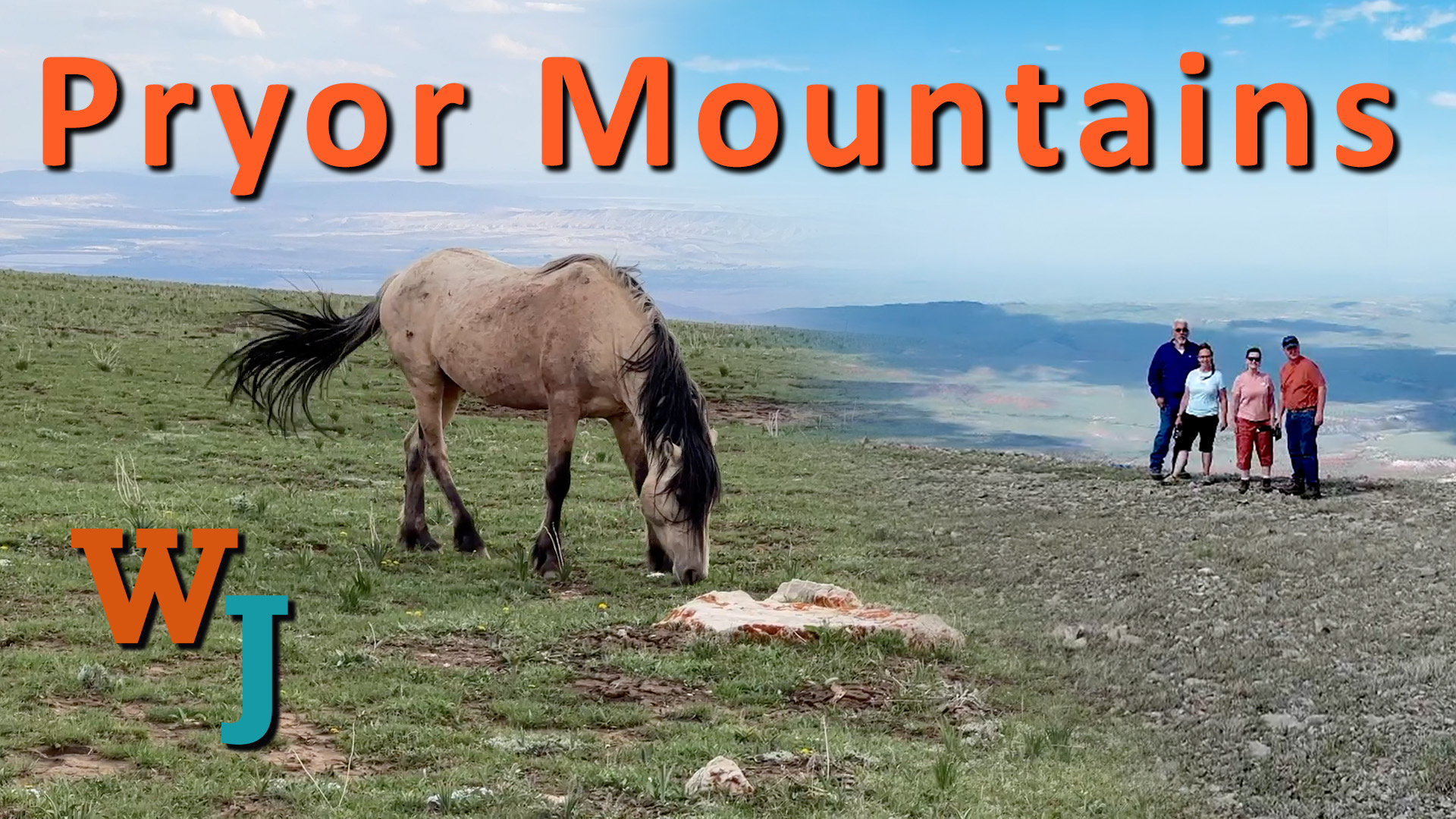 Wild horse with the Wyoming Jeepers cast in the background